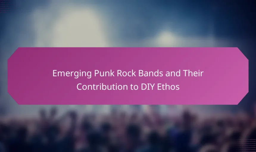 Emerging Punk Rock Bands and Their Contribution to DIY Ethos