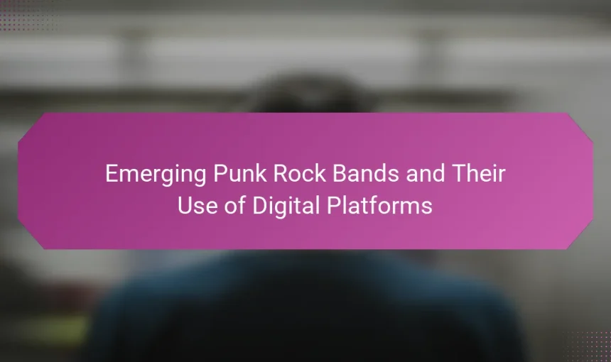 Emerging Punk Rock Bands and Their Use of Digital Platforms
