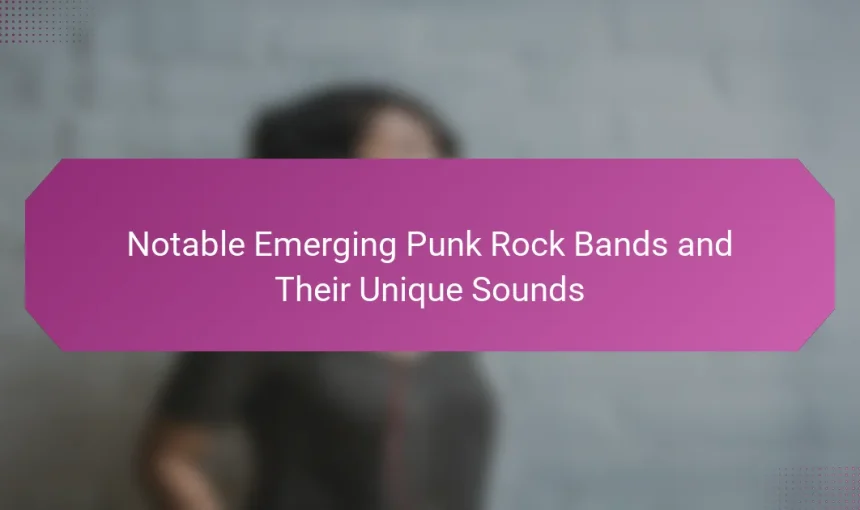 Notable Emerging Punk Rock Bands and Their Unique Sounds