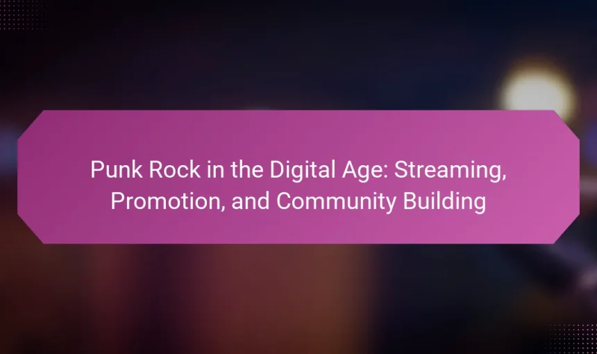 Punk Rock in the Digital Age: Streaming, Promotion, and Community Building