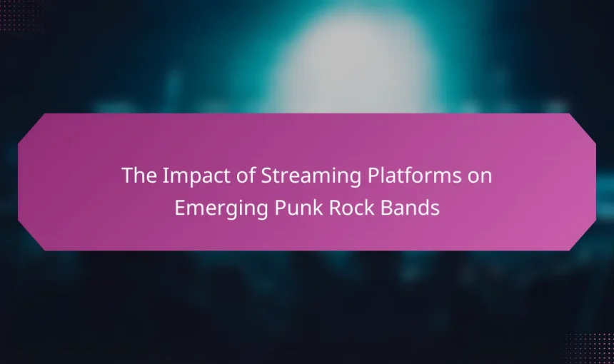 The Impact of Streaming Platforms on Emerging Punk Rock Bands