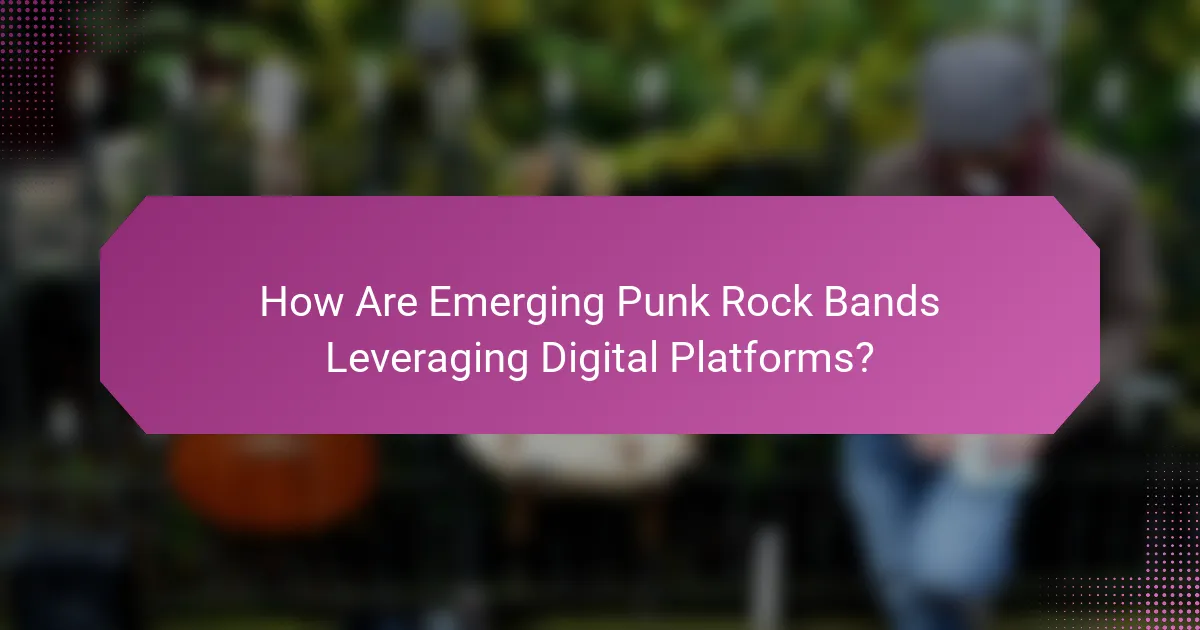 How Are Emerging Punk Rock Bands Leveraging Digital Platforms?