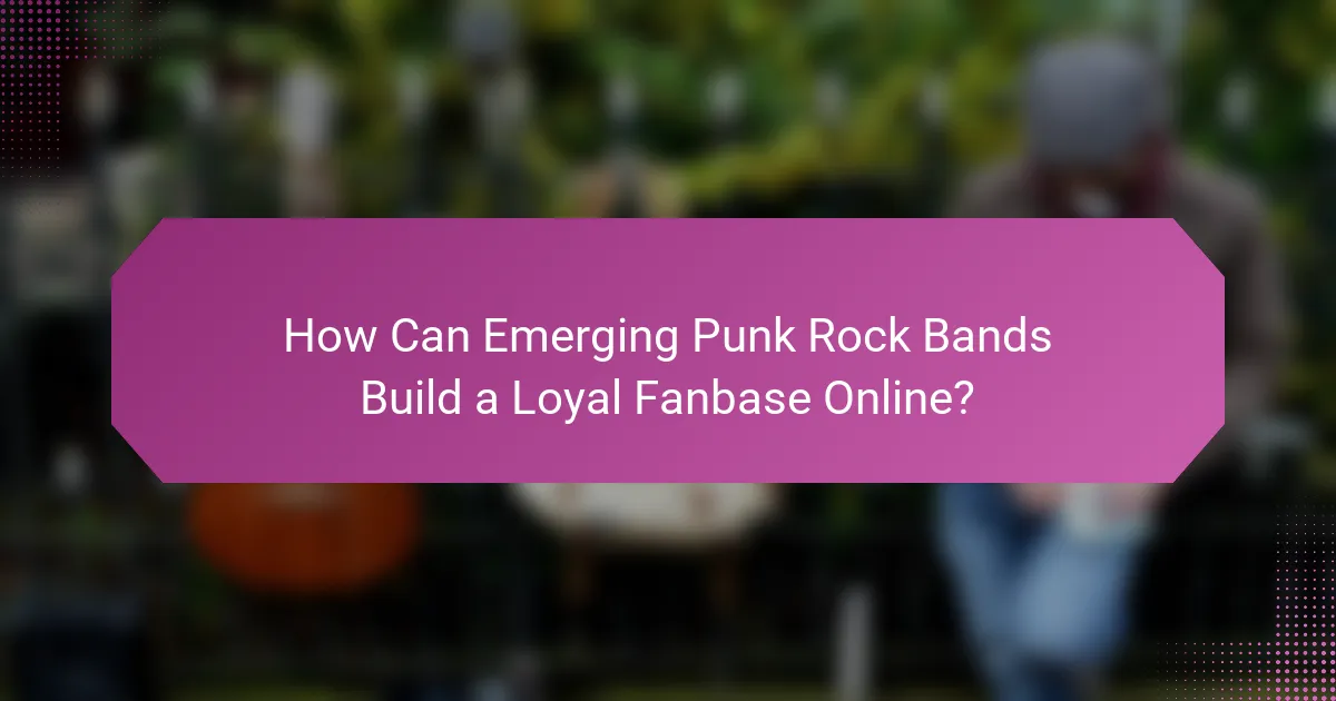 How Can Emerging Punk Rock Bands Build a Loyal Fanbase Online?