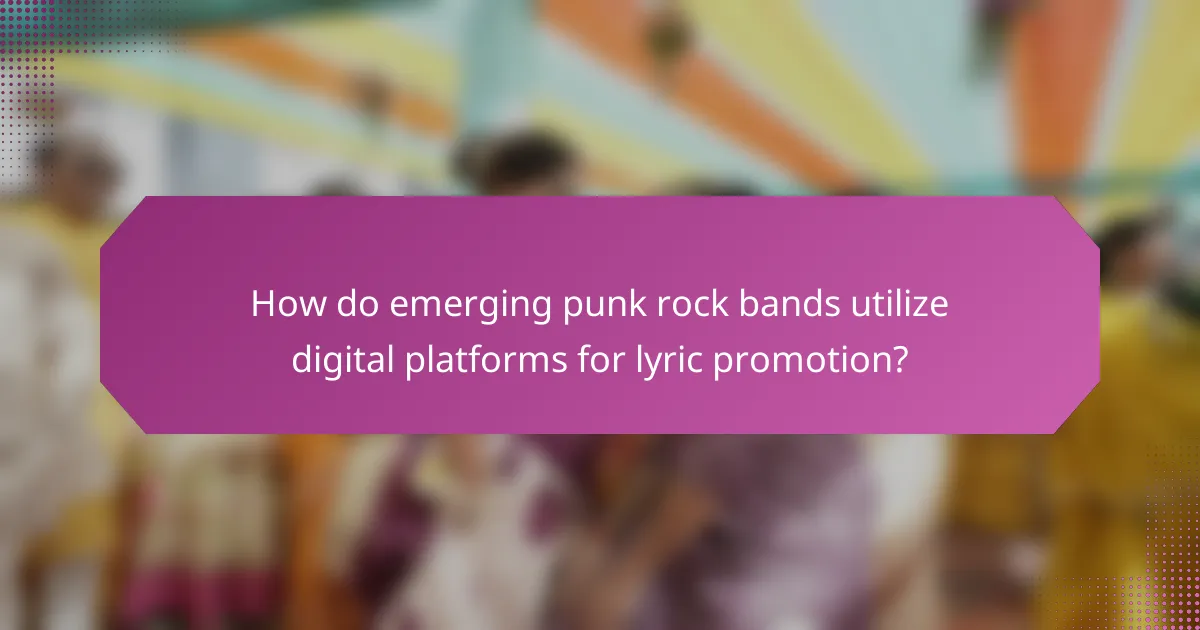 How do emerging punk rock bands utilize digital platforms for lyric promotion?