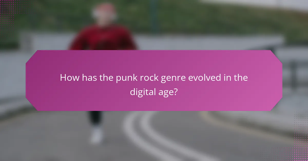 How has the punk rock genre evolved in the digital age?