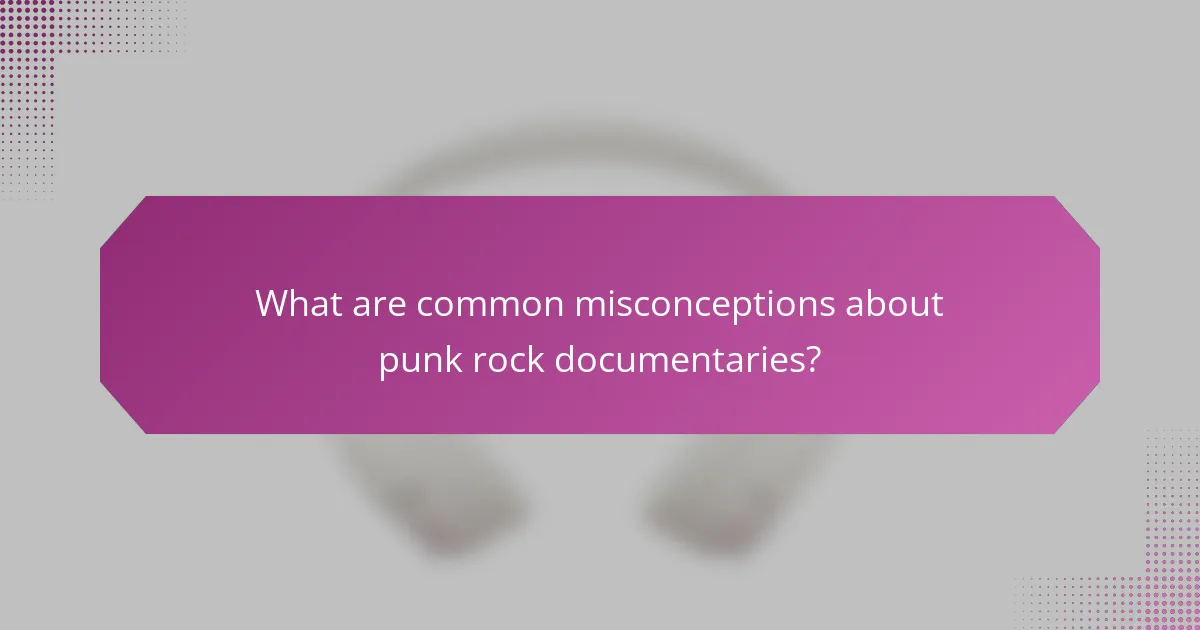 What are common misconceptions about punk rock documentaries?