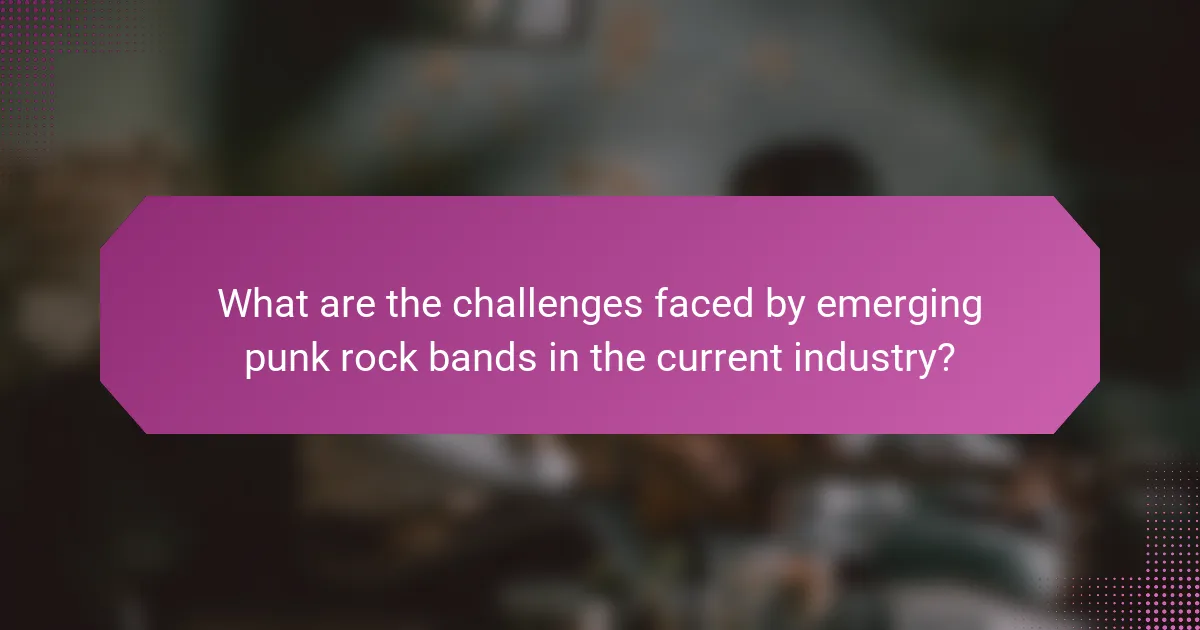 What are the challenges faced by emerging punk rock bands in the current industry?