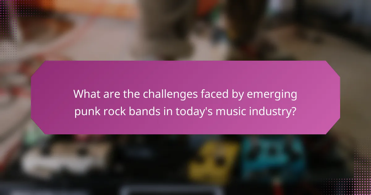 What are the challenges faced by emerging punk rock bands in today's music industry?