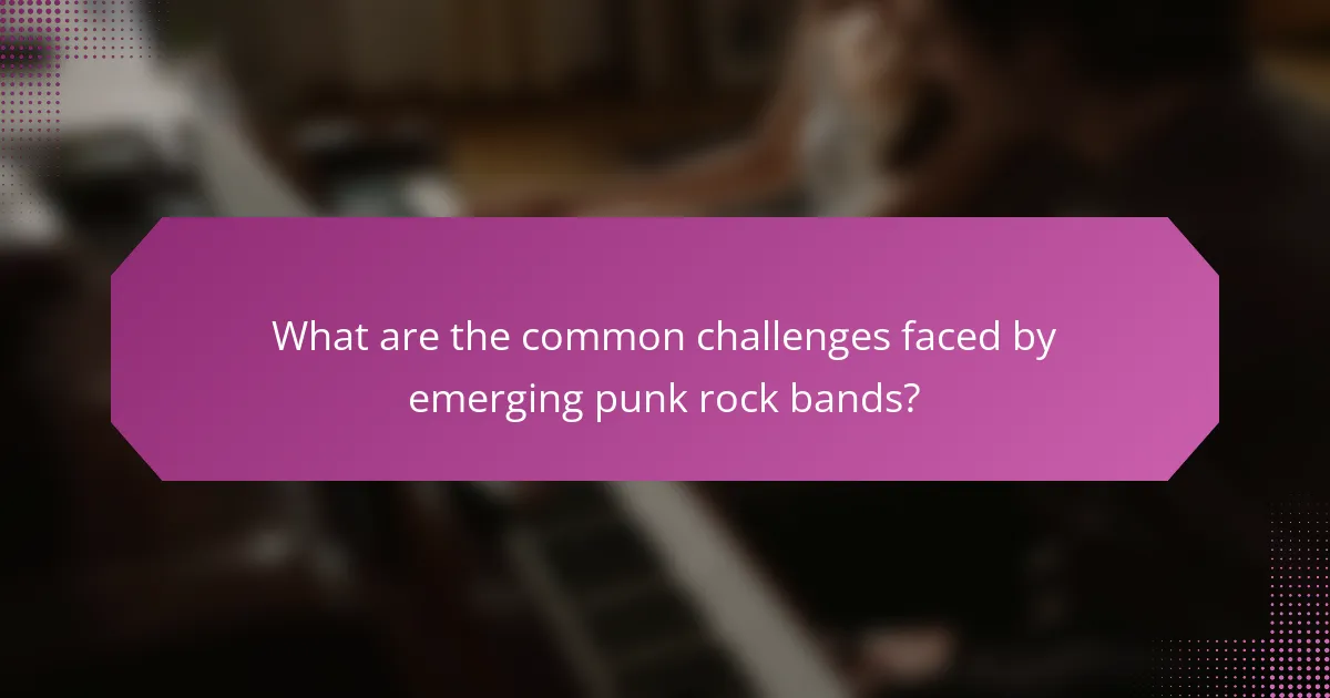 What are the common challenges faced by emerging punk rock bands?