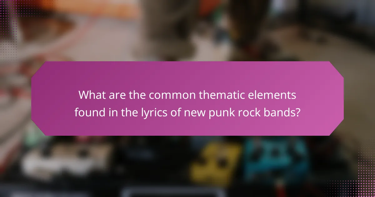 What are the common thematic elements found in the lyrics of new punk rock bands?