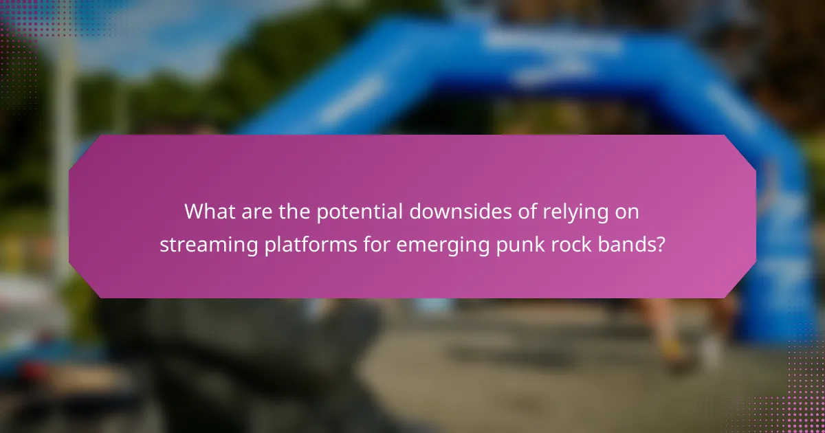 What are the potential downsides of relying on streaming platforms for emerging punk rock bands?