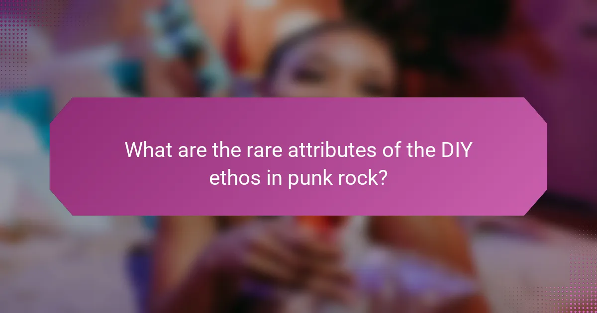 What are the rare attributes of the DIY ethos in punk rock?