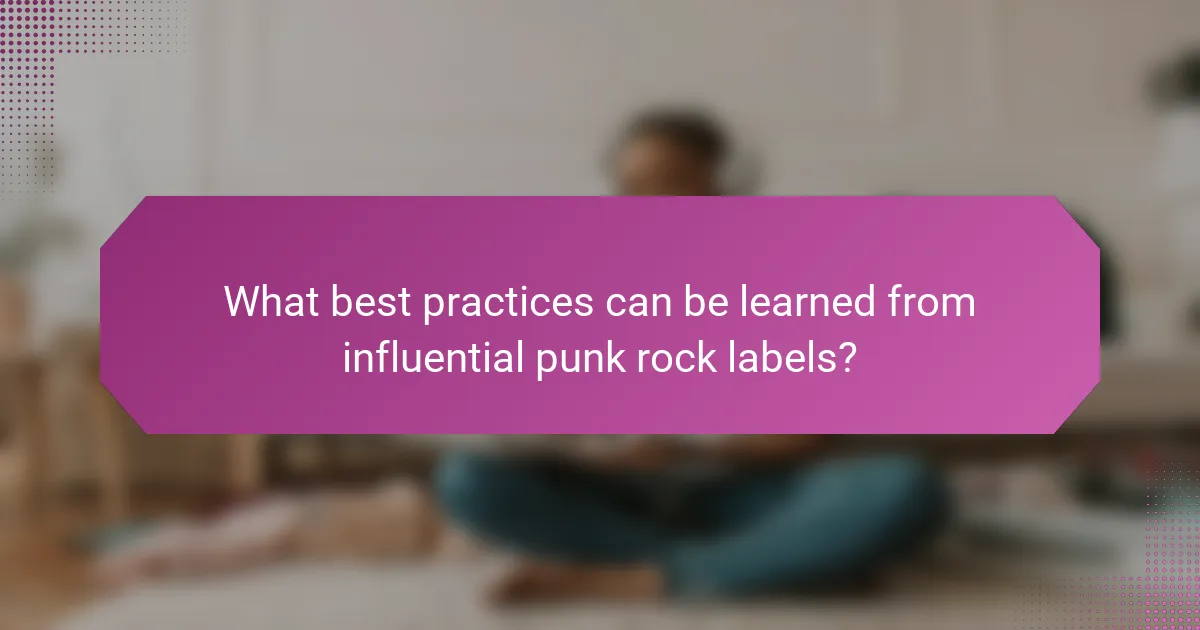 What best practices can be learned from influential punk rock labels?