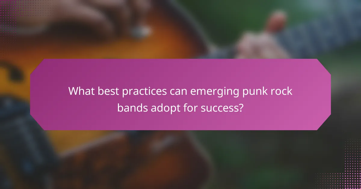 What best practices can emerging punk rock bands adopt for success?