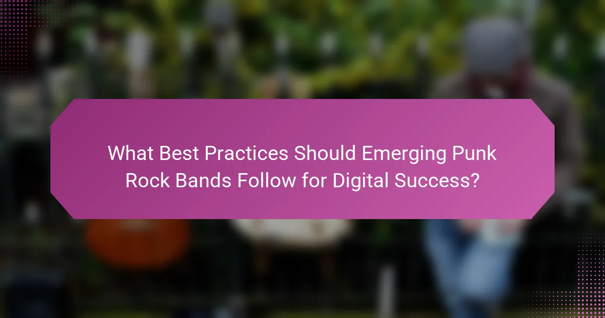 What Best Practices Should Emerging Punk Rock Bands Follow for Digital Success?