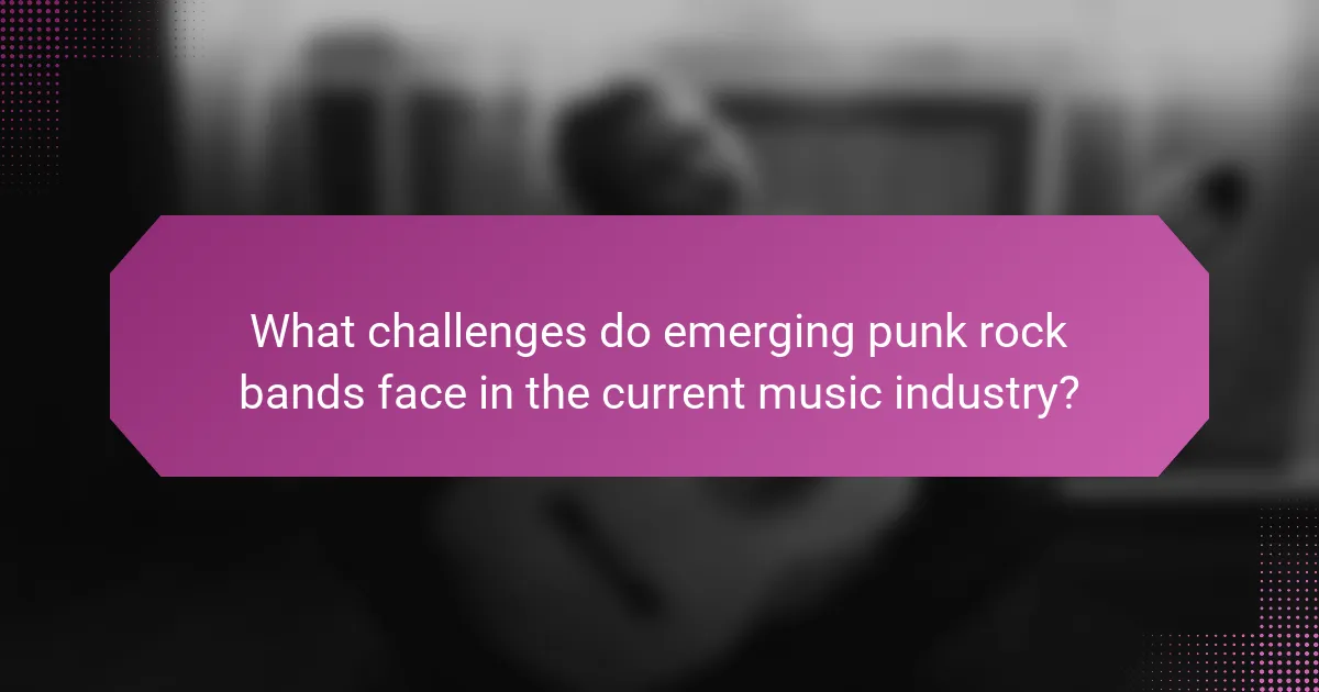 What challenges do emerging punk rock bands face in the current music industry?