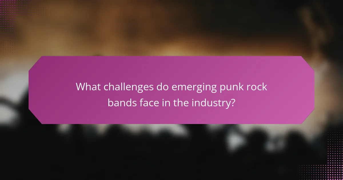 What challenges do emerging punk rock bands face in the industry?