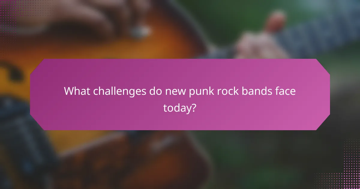 What challenges do new punk rock bands face today?