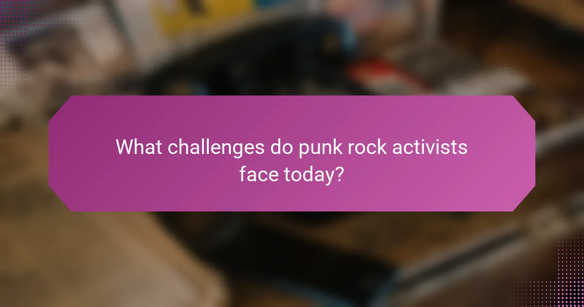 What challenges do punk rock activists face today?
