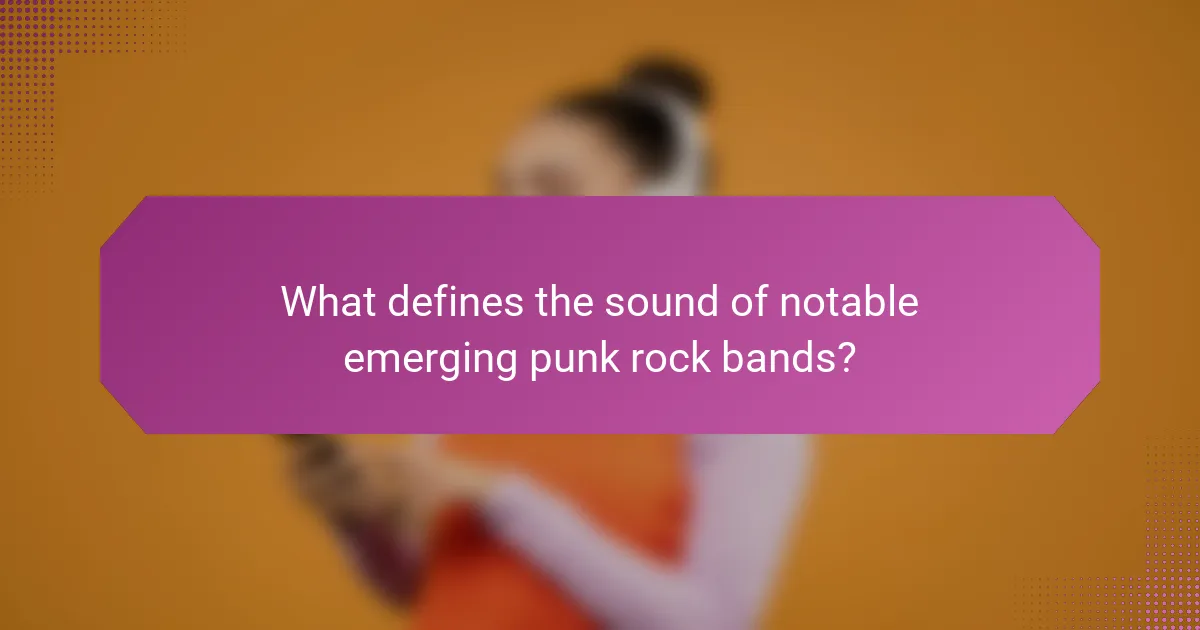 What defines the sound of notable emerging punk rock bands?