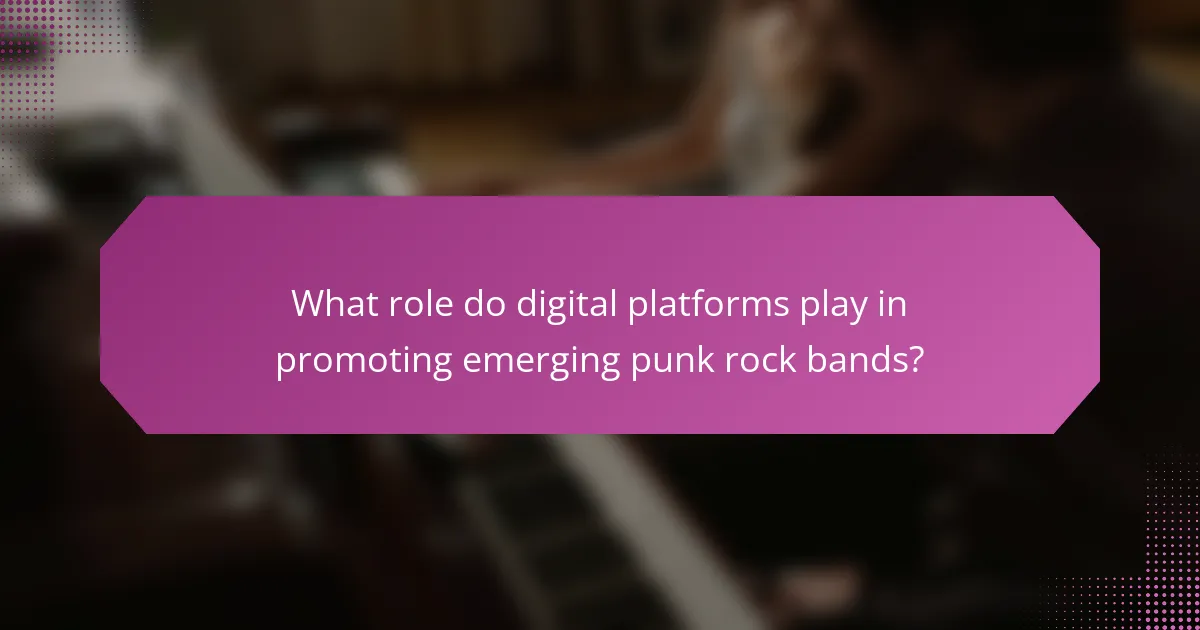 What role do digital platforms play in promoting emerging punk rock bands?