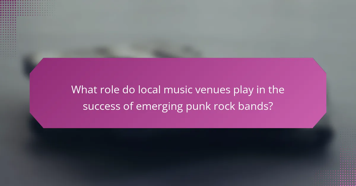 What role do local music venues play in the success of emerging punk rock bands?