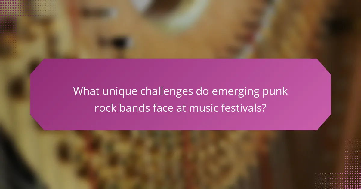 What unique challenges do emerging punk rock bands face at music festivals?