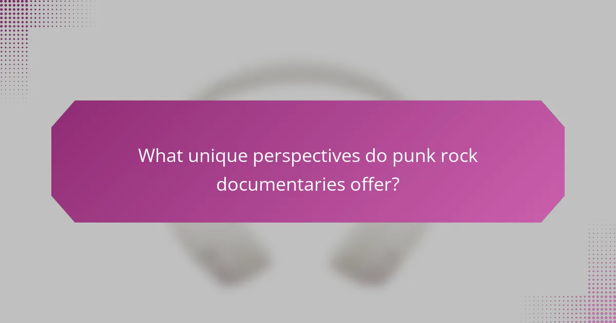 What unique perspectives do punk rock documentaries offer?