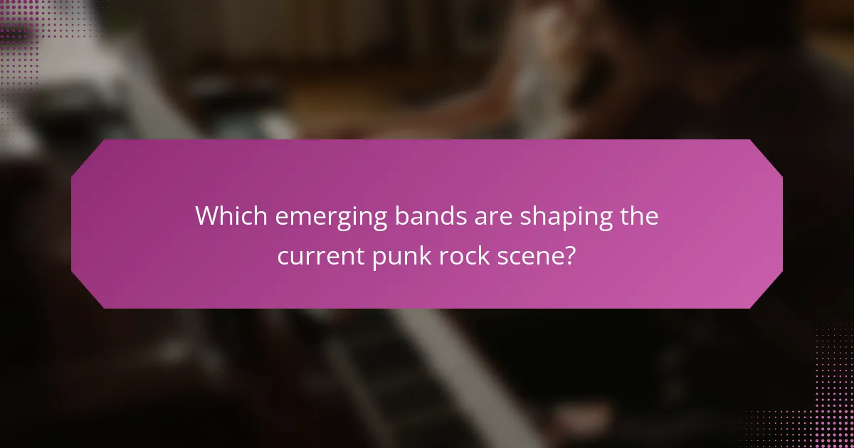 Which emerging bands are shaping the current punk rock scene?