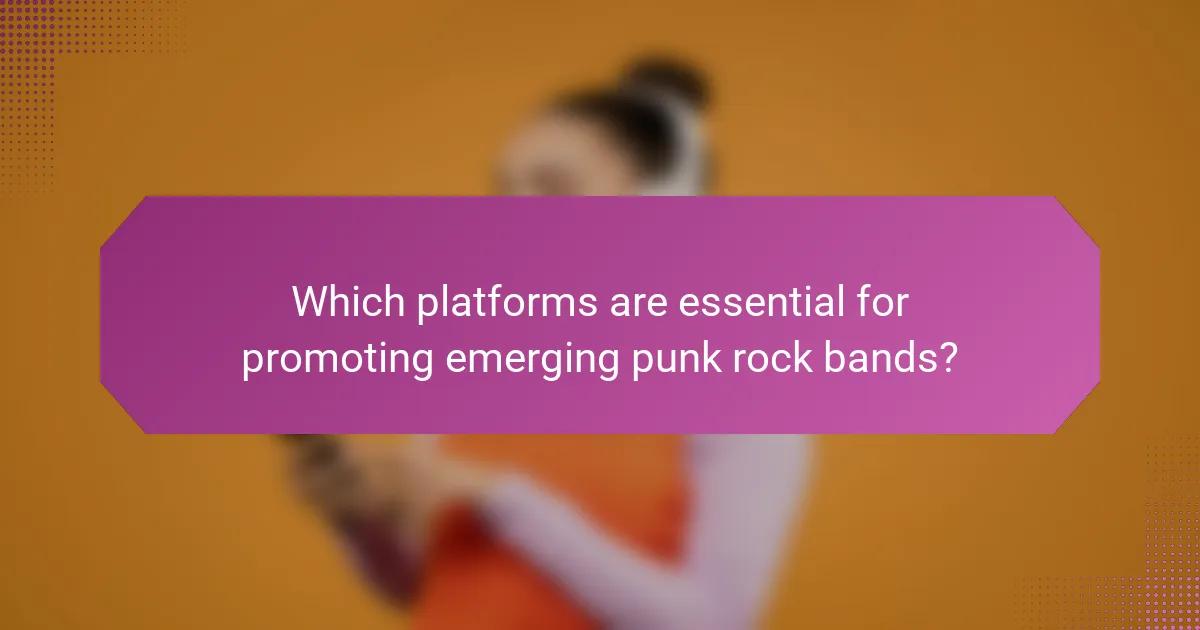 Which platforms are essential for promoting emerging punk rock bands?