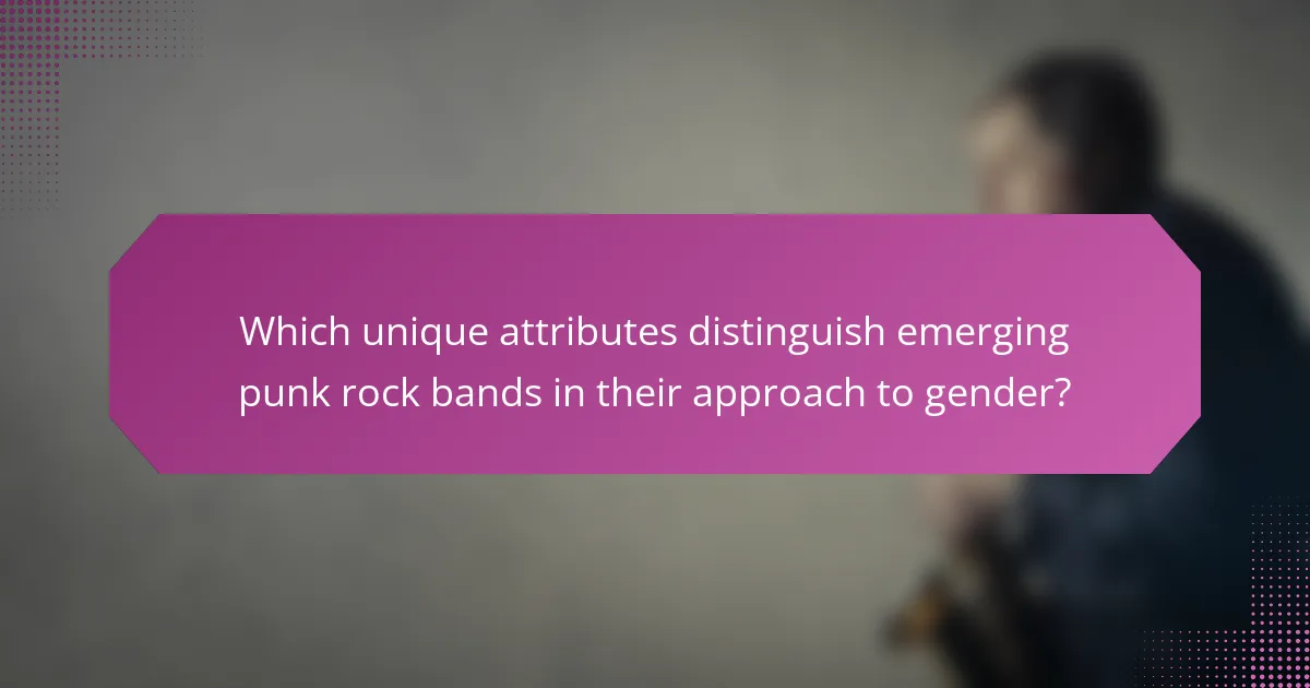 Which unique attributes distinguish emerging punk rock bands in their approach to gender?