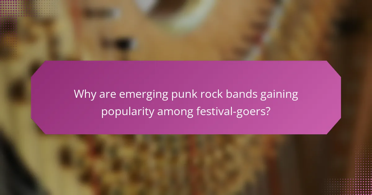 Why are emerging punk rock bands gaining popularity among festival-goers?