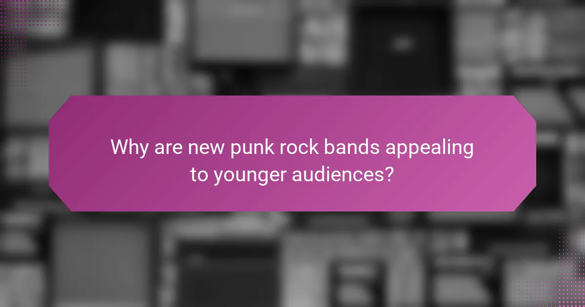 Why are new punk rock bands appealing to younger audiences?